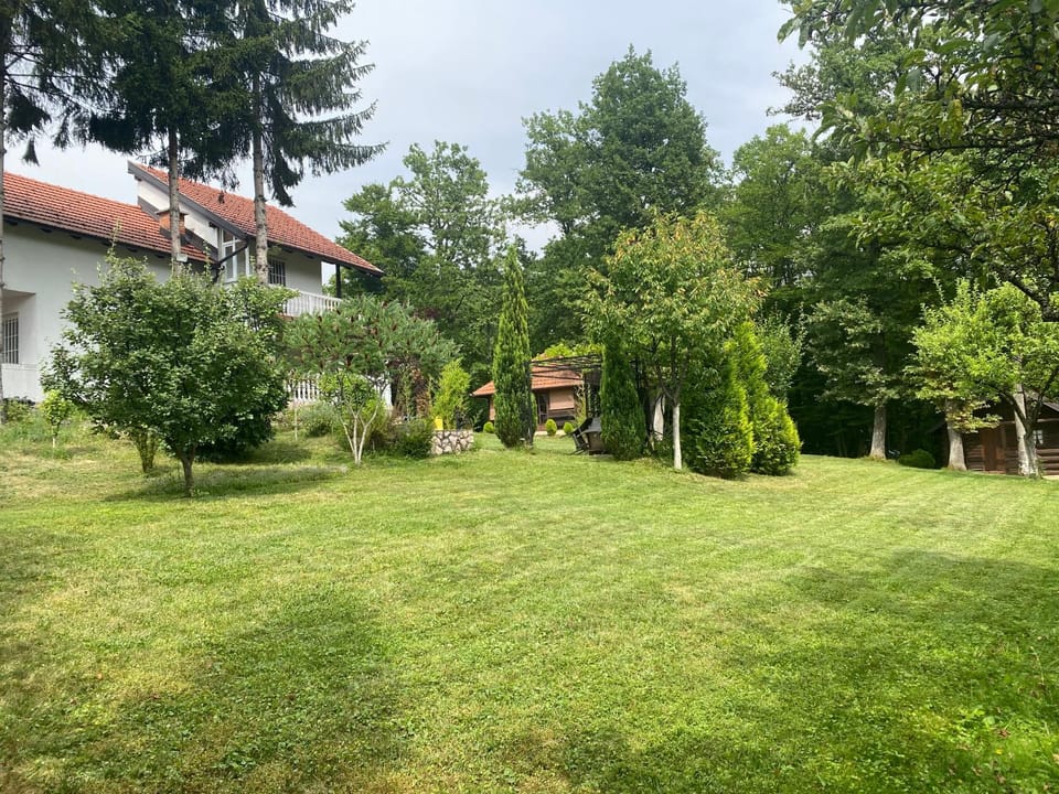 Property building, Day, Garden