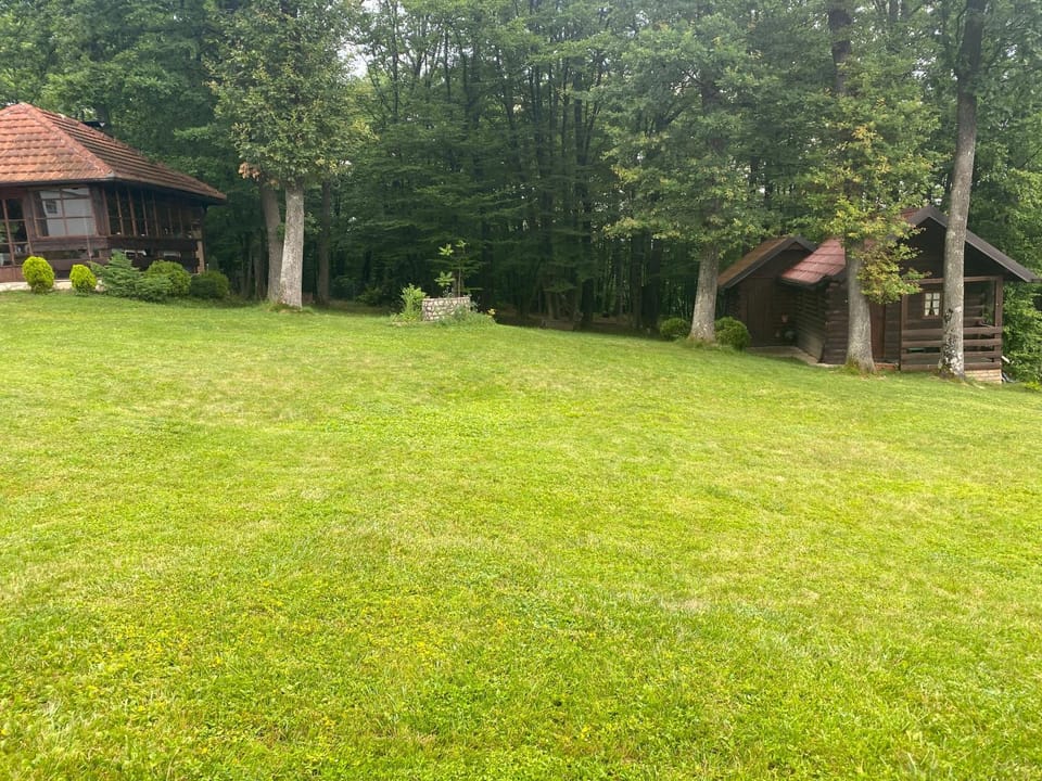 Natural landscape, Garden view