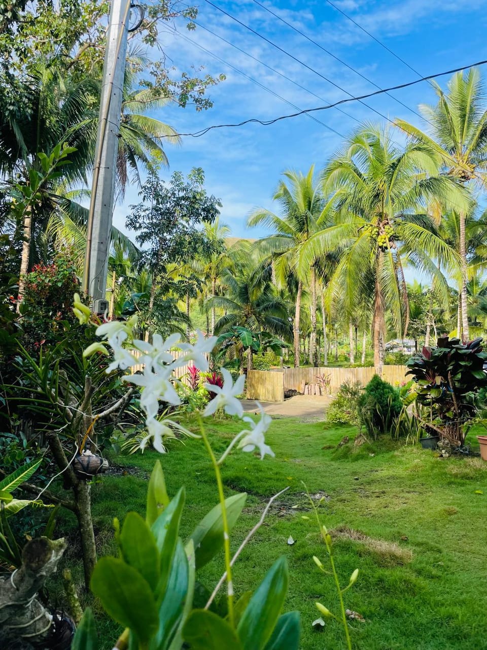 Property building, Natural landscape