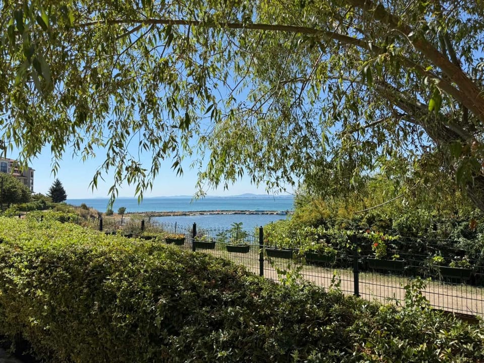 Garden, Sea view