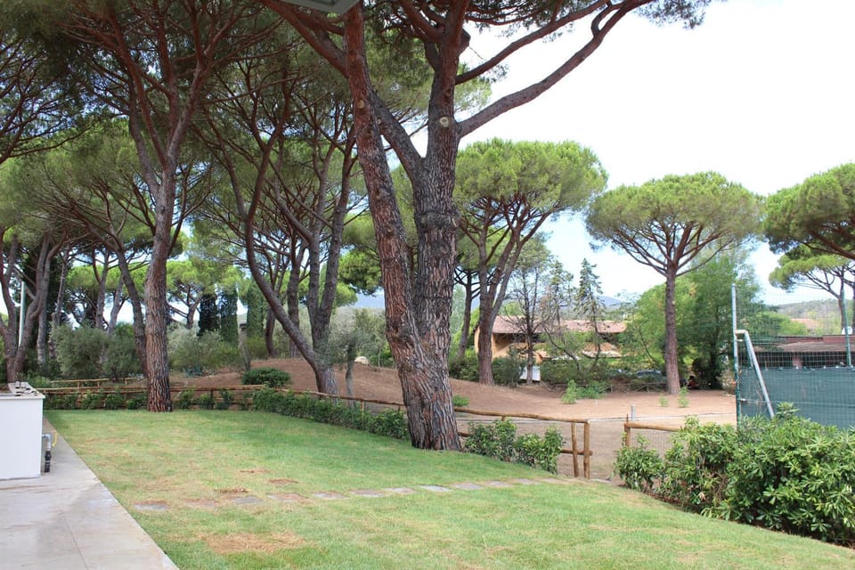 Garden, Garden
