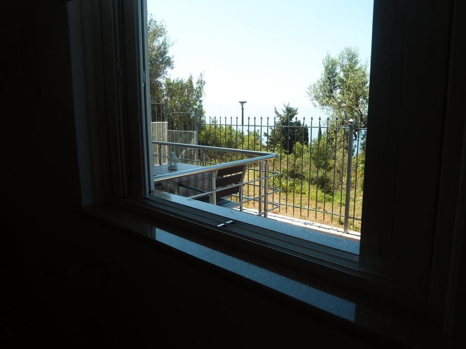 View (from property/room)