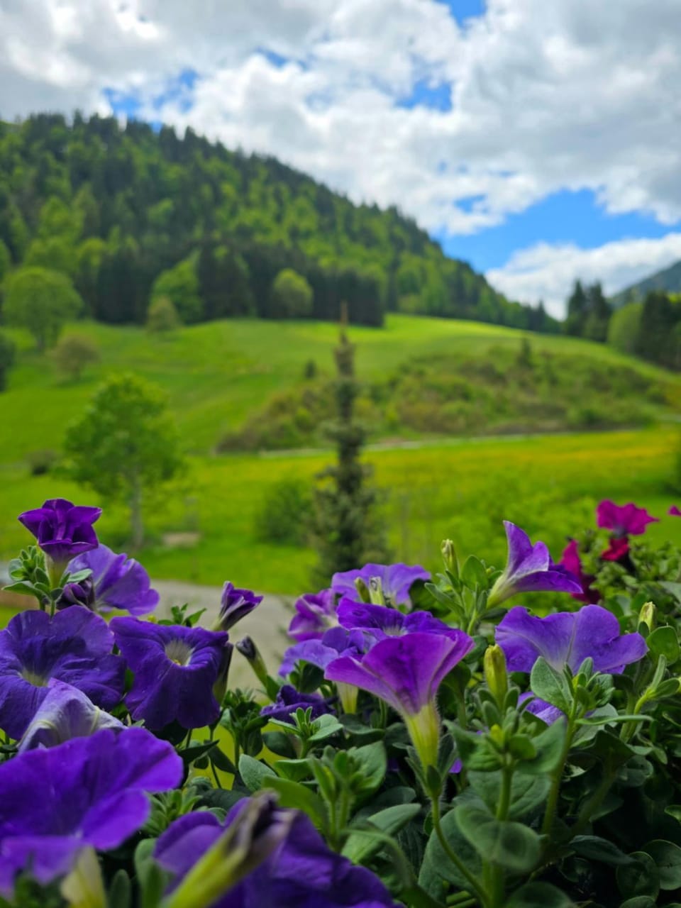 Spring, Natural landscape