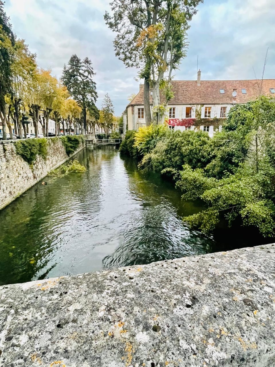 Neighbourhood, Natural landscape, Hiking, River view