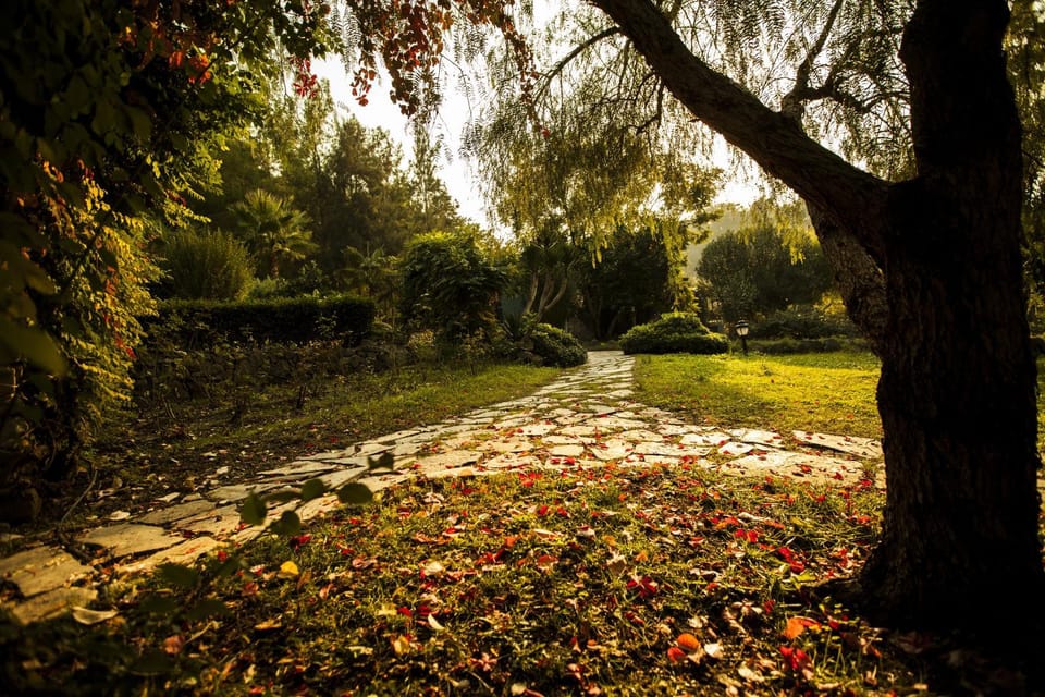 Day, Natural landscape, Garden, Garden view