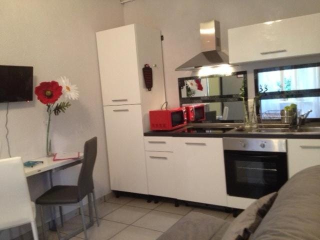 LE LOGIS LE PIC DU MIDI et LE LOGIS LE COL D'ASPIN Apartment in Lourdes