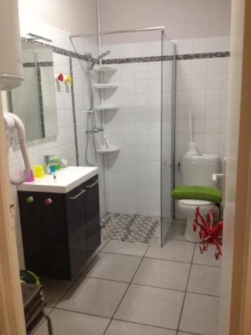 LE LOGIS LE PIC DU MIDI et LE LOGIS LE COL D'ASPIN Apartment in Lourdes