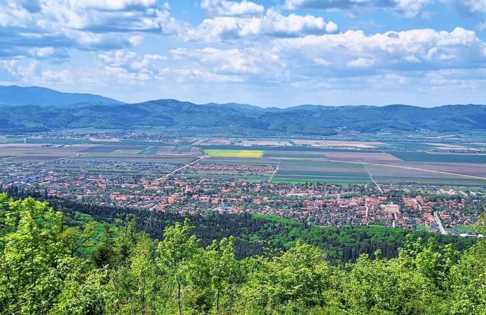 NEUSTADT Villa Bed and Breakfast in Brașov County