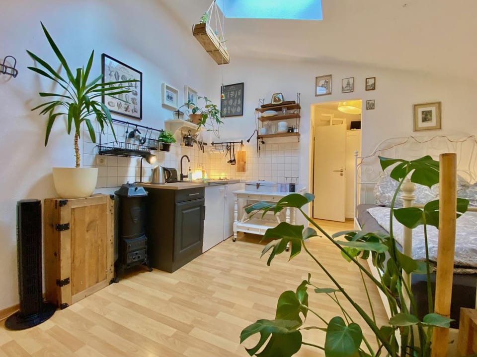 Bed, Kitchen or kitchenette