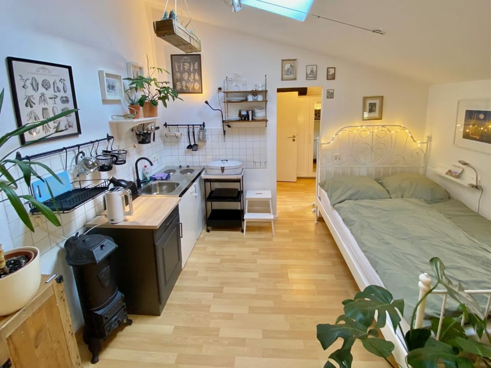 Bed, Kitchen or kitchenette, Living room, Photo of the whole room, Bedroom, stove