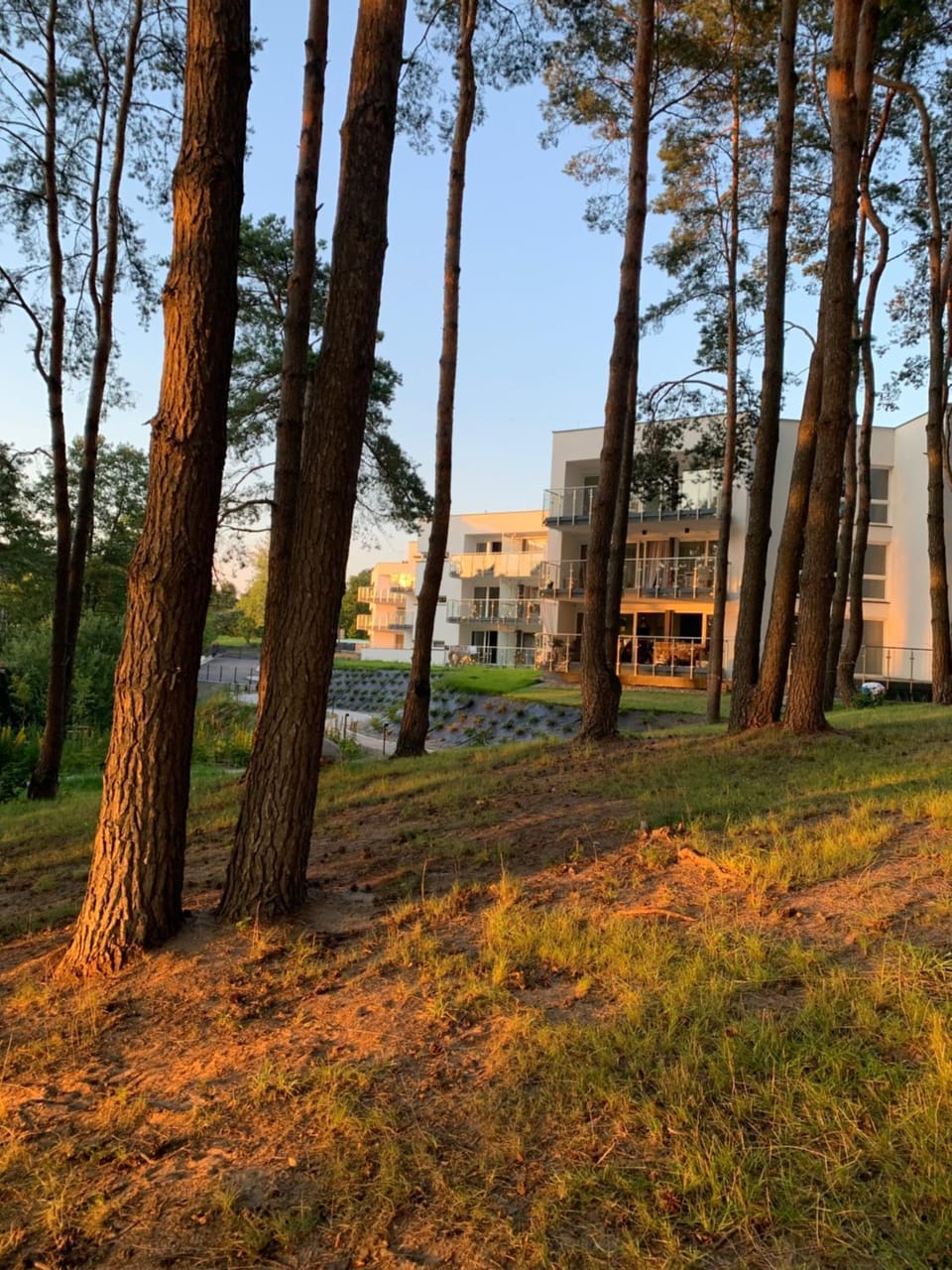 Property building, Neighbourhood, Natural landscape