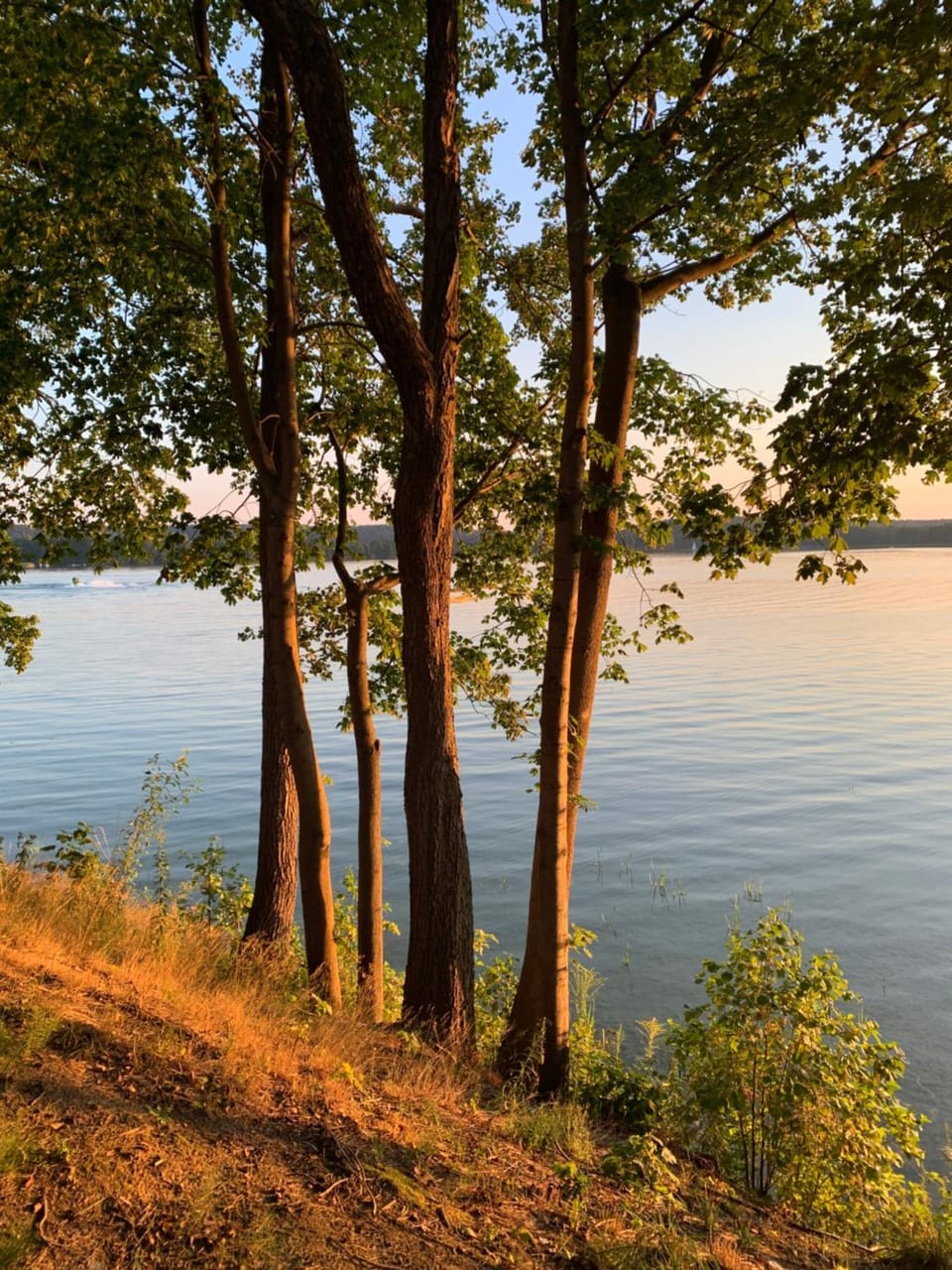 Natural landscape, Lake view