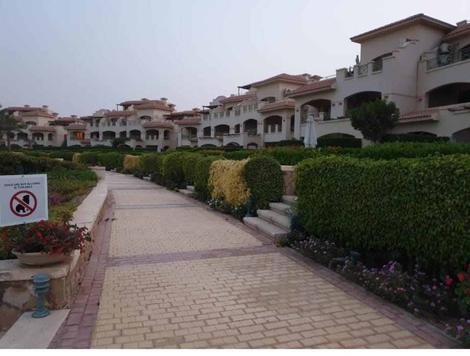 Property building, Neighbourhood, Garden