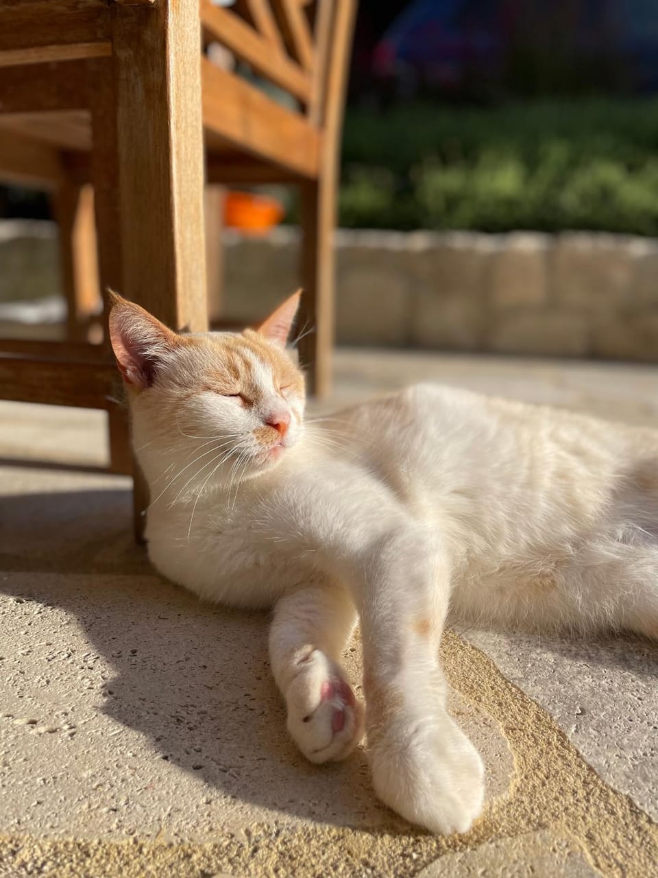 Paralia Homes peaceful 2 bedroom, unit # 2 House in Halkidiki