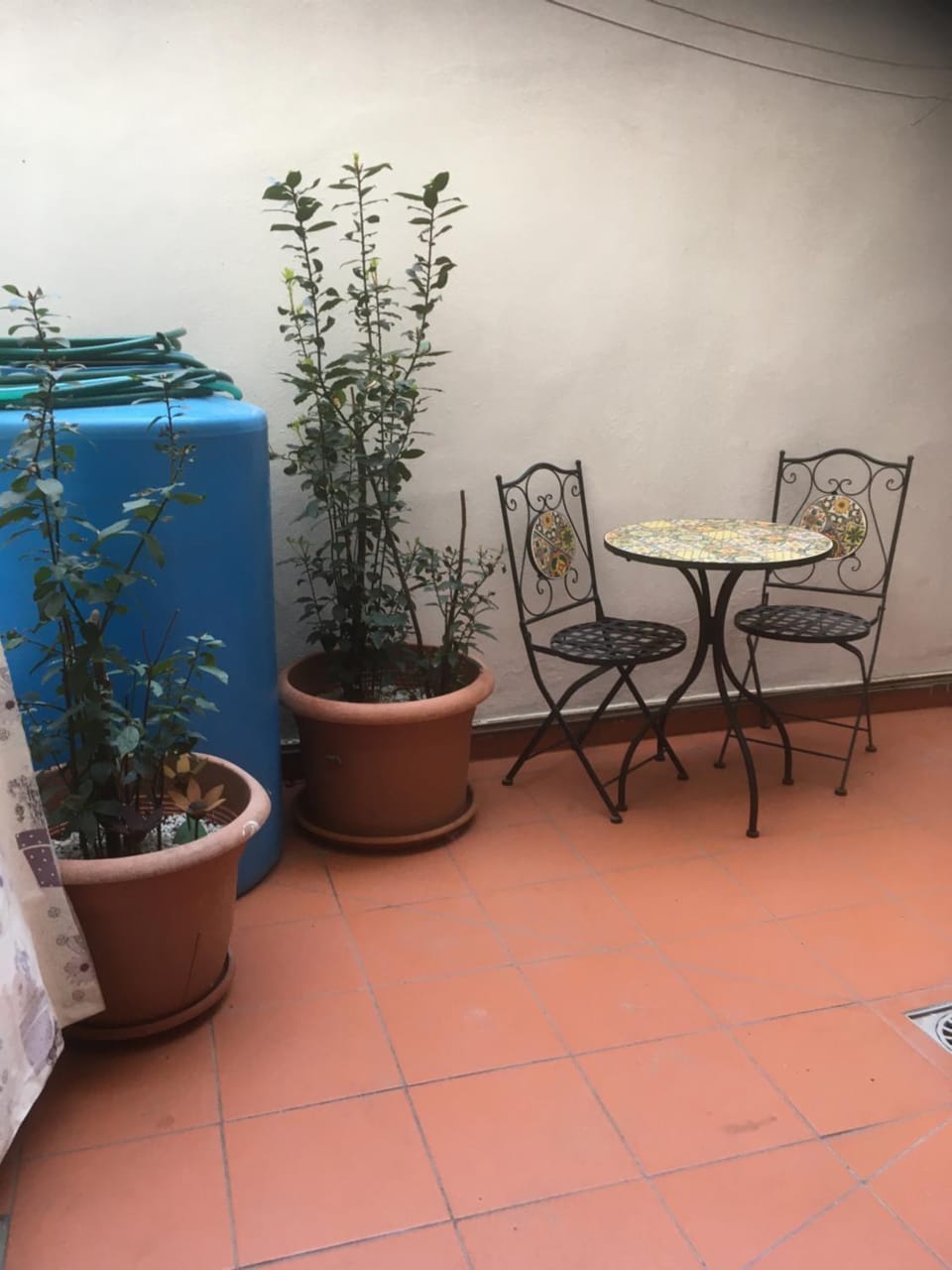 Inner courtyard view