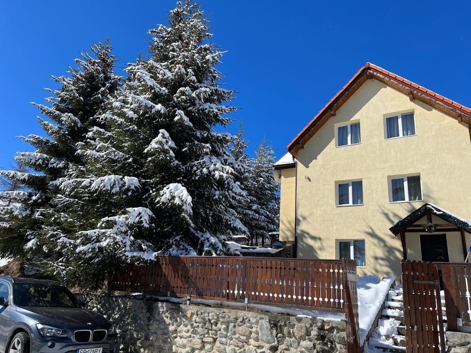 Cabana Alina House in Romania