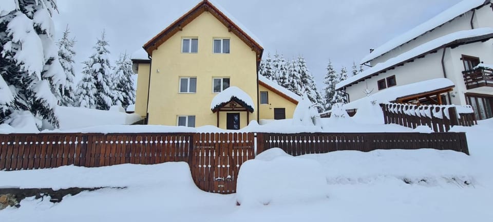 Cabana Alina House in Romania
