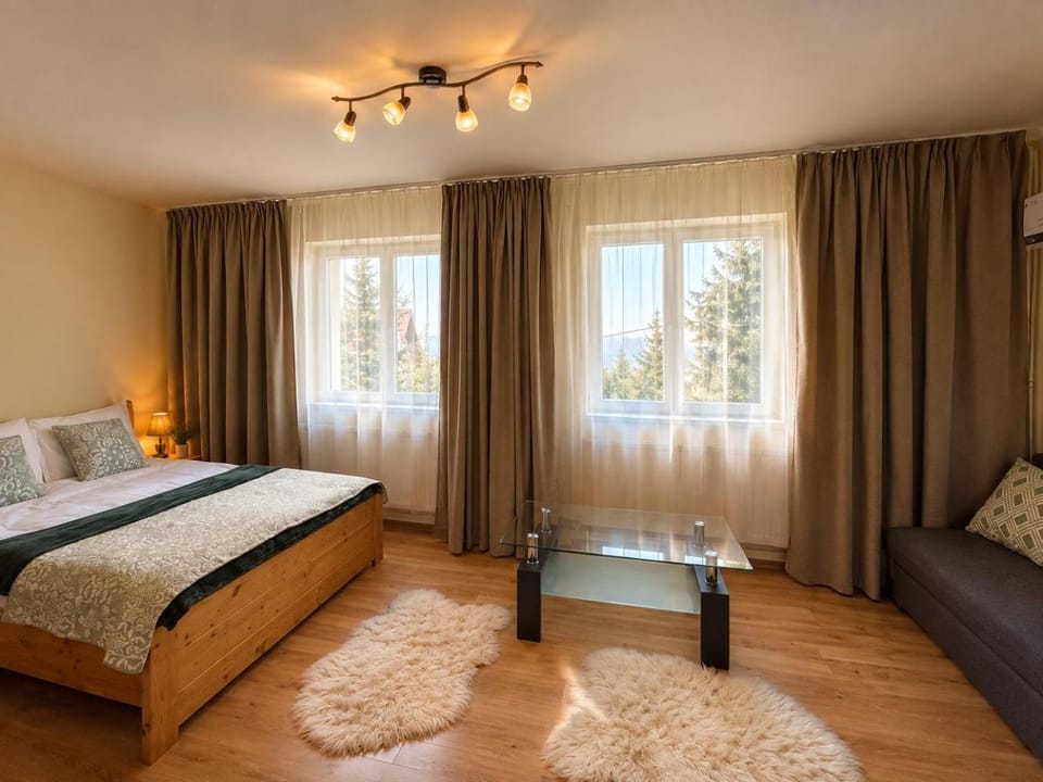 Cabana Alina House in Romania