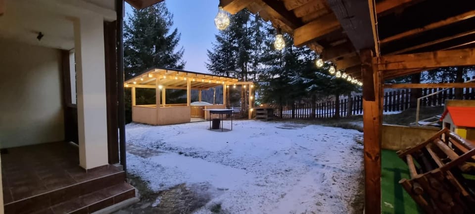 Cabana Alina House in Romania