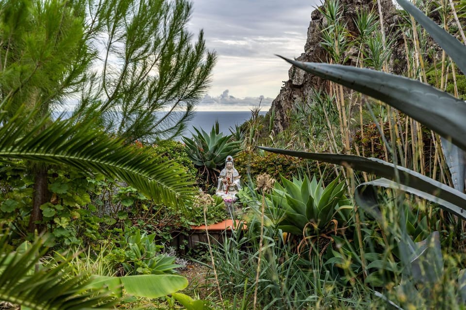 Natural landscape, Garden, Garden view, Sea view