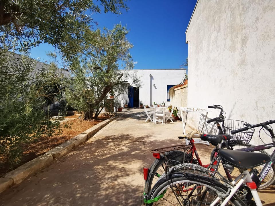 Facade/entrance, Cycling