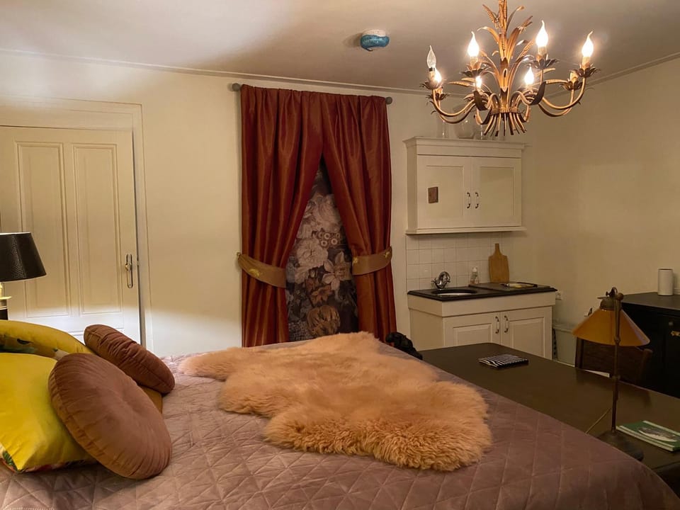 Queen Suite Centre Alkmaar Hotel in Alkmaar