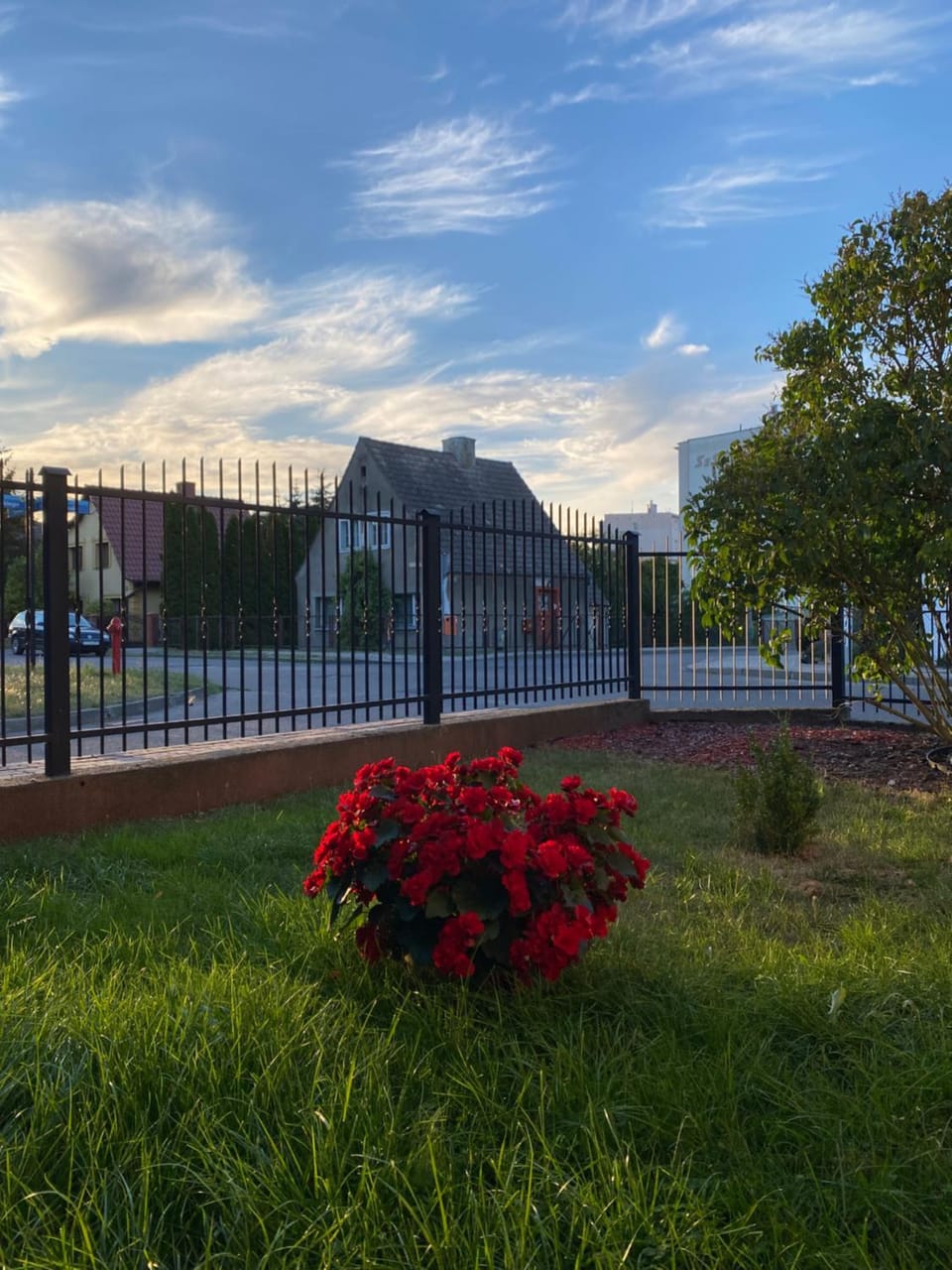 Spring, Day, Natural landscape, Garden, Garden view