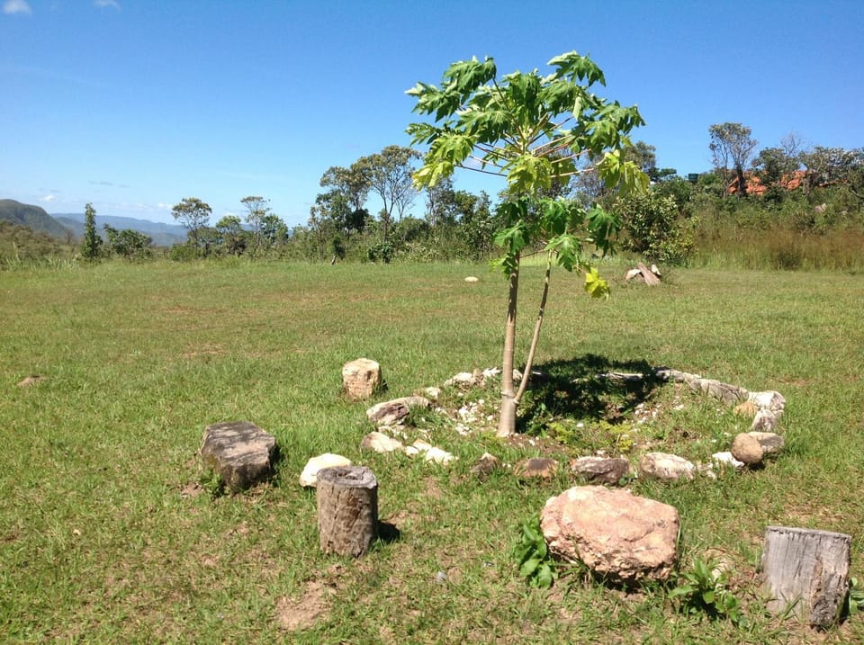 Natural landscape