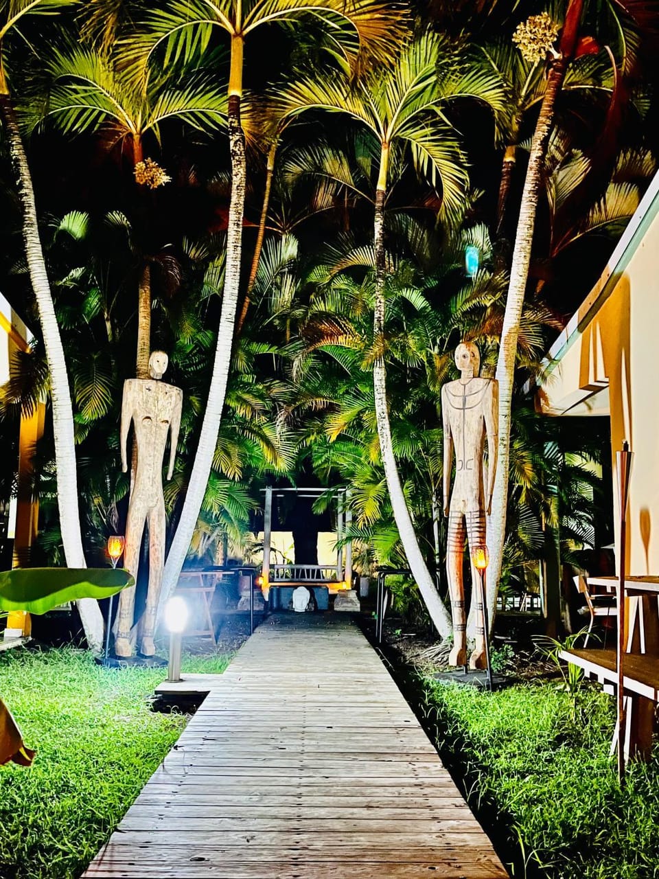 Night, Garden, Garden view