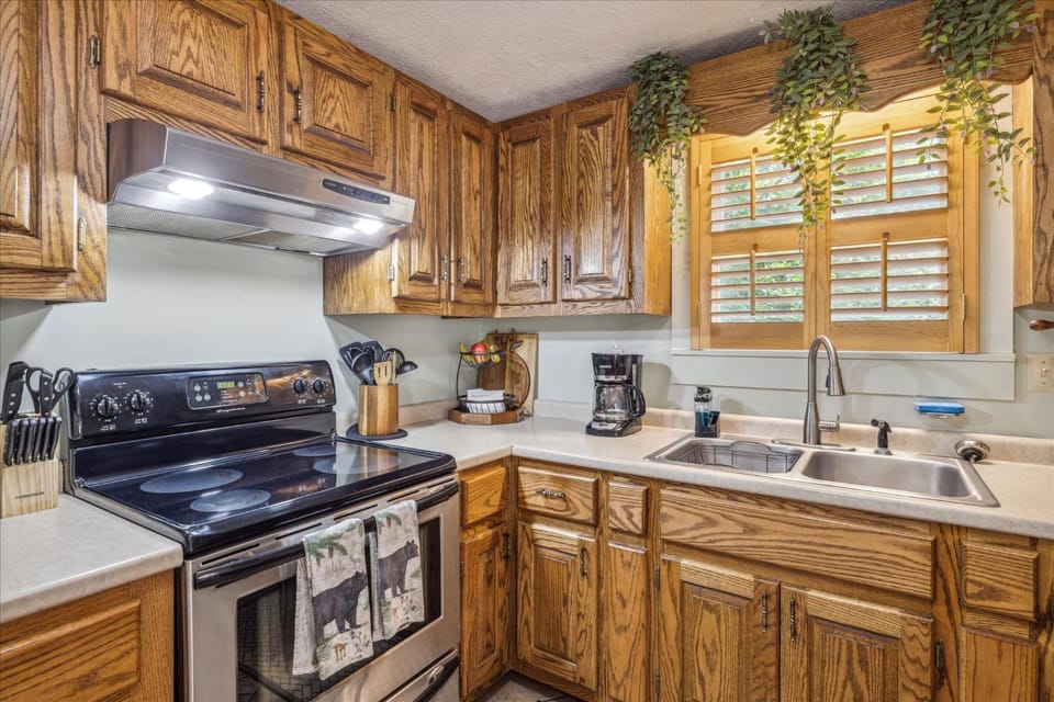 Smokey Max Chalet Chalet in Sevier County