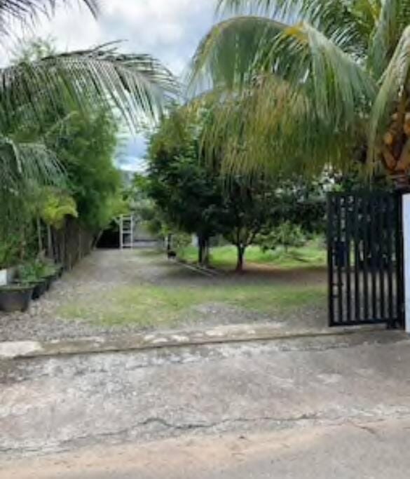 Garden view