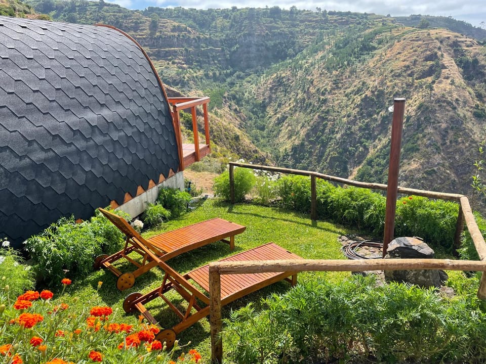 Patio, Garden, Garden view