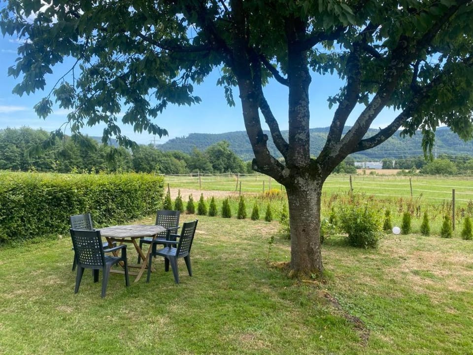 Minalya Home Apartment in Aargau, Switzerland