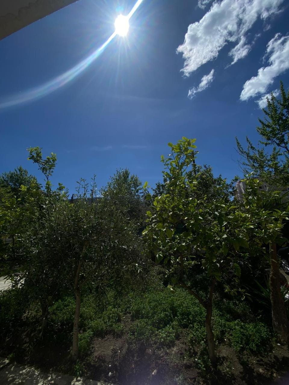 Jon Vacation rental in Vlorë