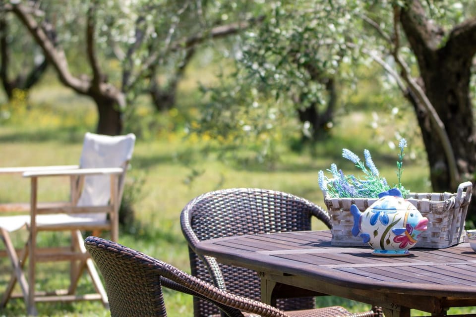 ZeusPlace Olympus Olive Country House 2 House in Pieria, Greece