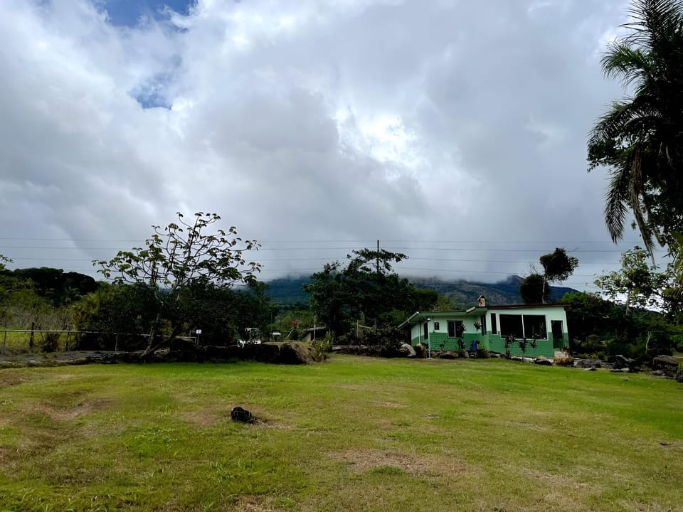 Property building, Garden