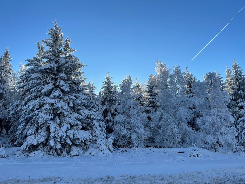 Natural landscape, Winter