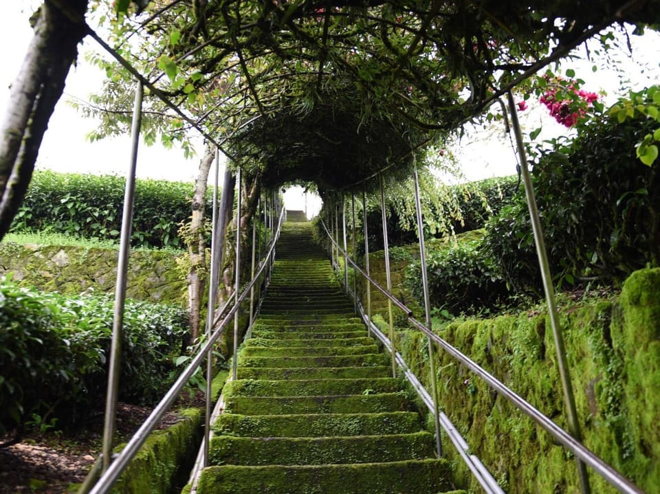 Drizzle Tea House Bed and Breakfast in Taiwan, Province of China