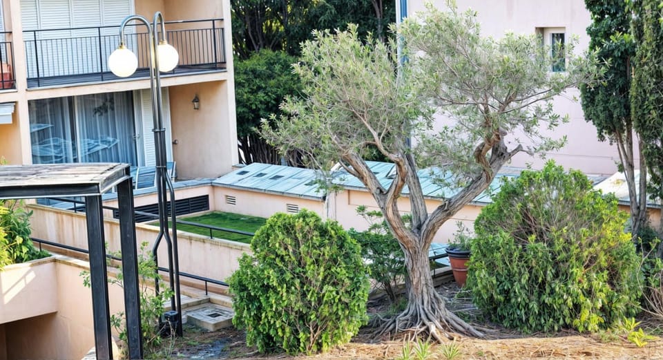 Garden view