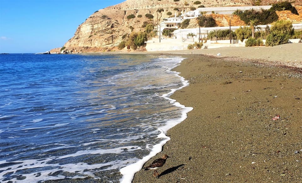 Property building, Natural landscape, Beach, Sea view