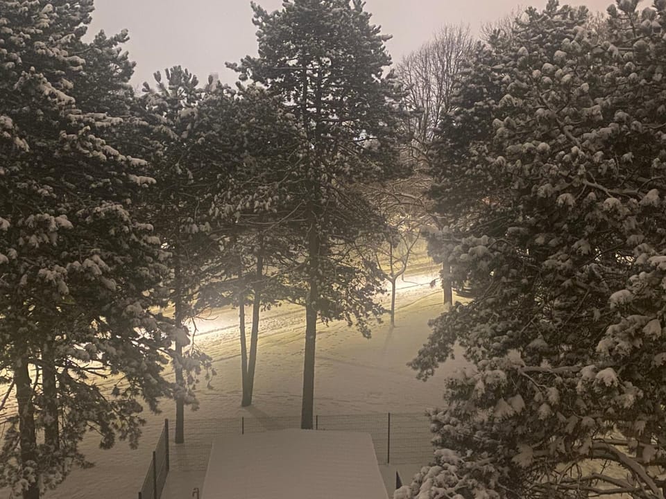 Winter