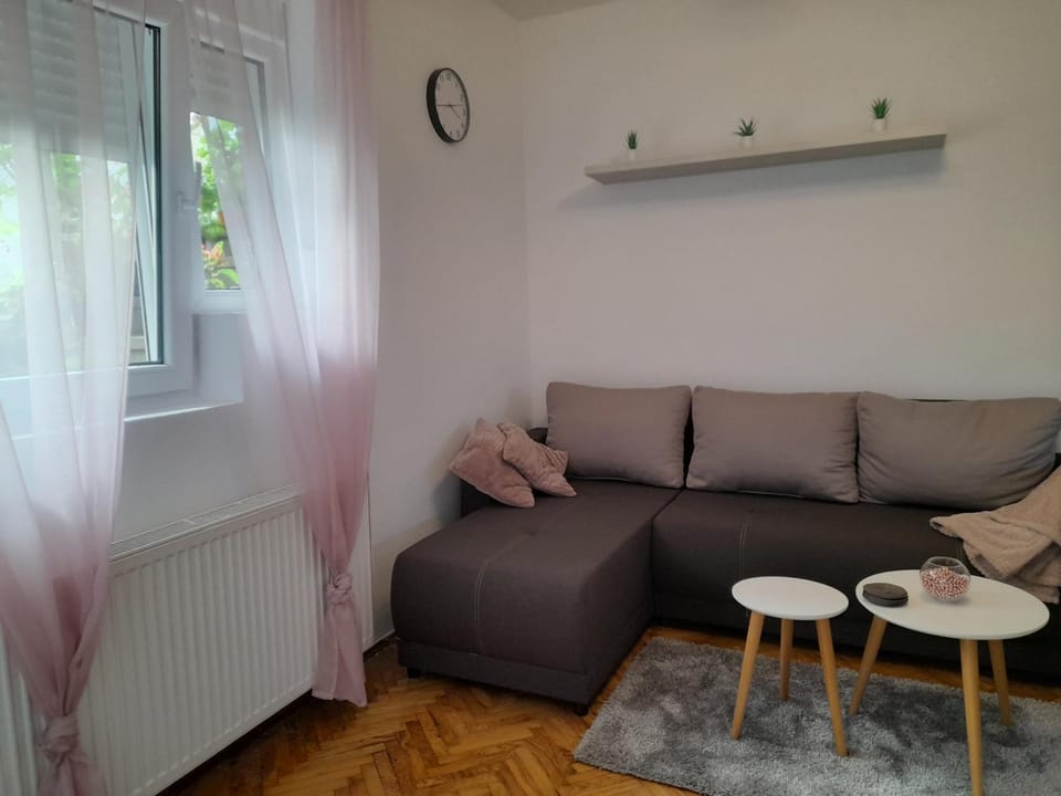 Apartman Stevan Apartment in Serbia