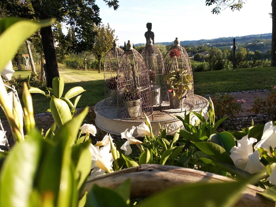 Garden, Garden view