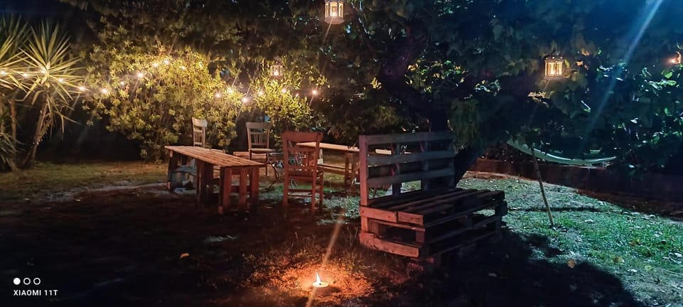 Night, Natural landscape, Garden, Garden, Garden view