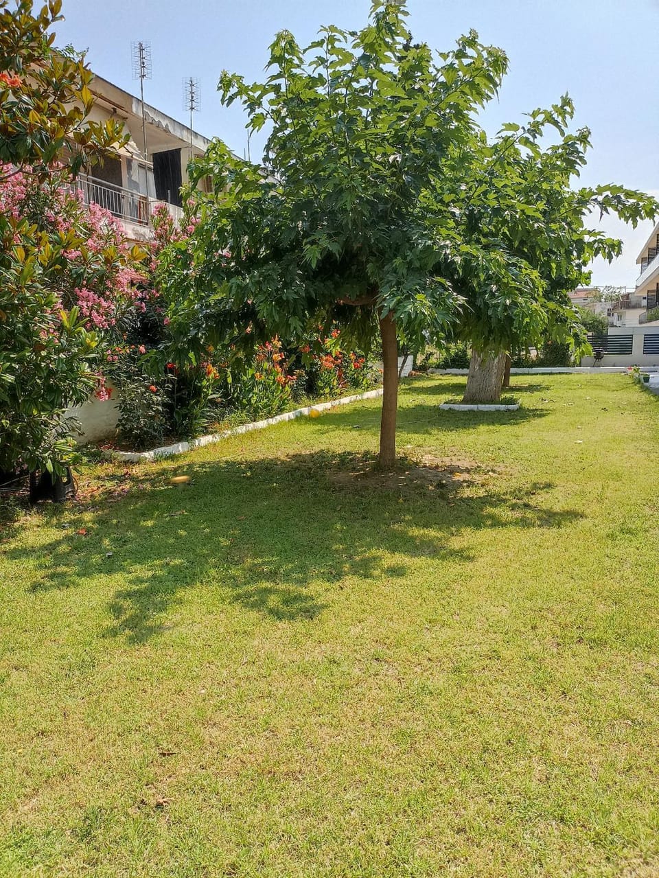 Helena's Apartment 2 Agia Triada Apartment in Decentralized Administration of Macedonia and Thrace