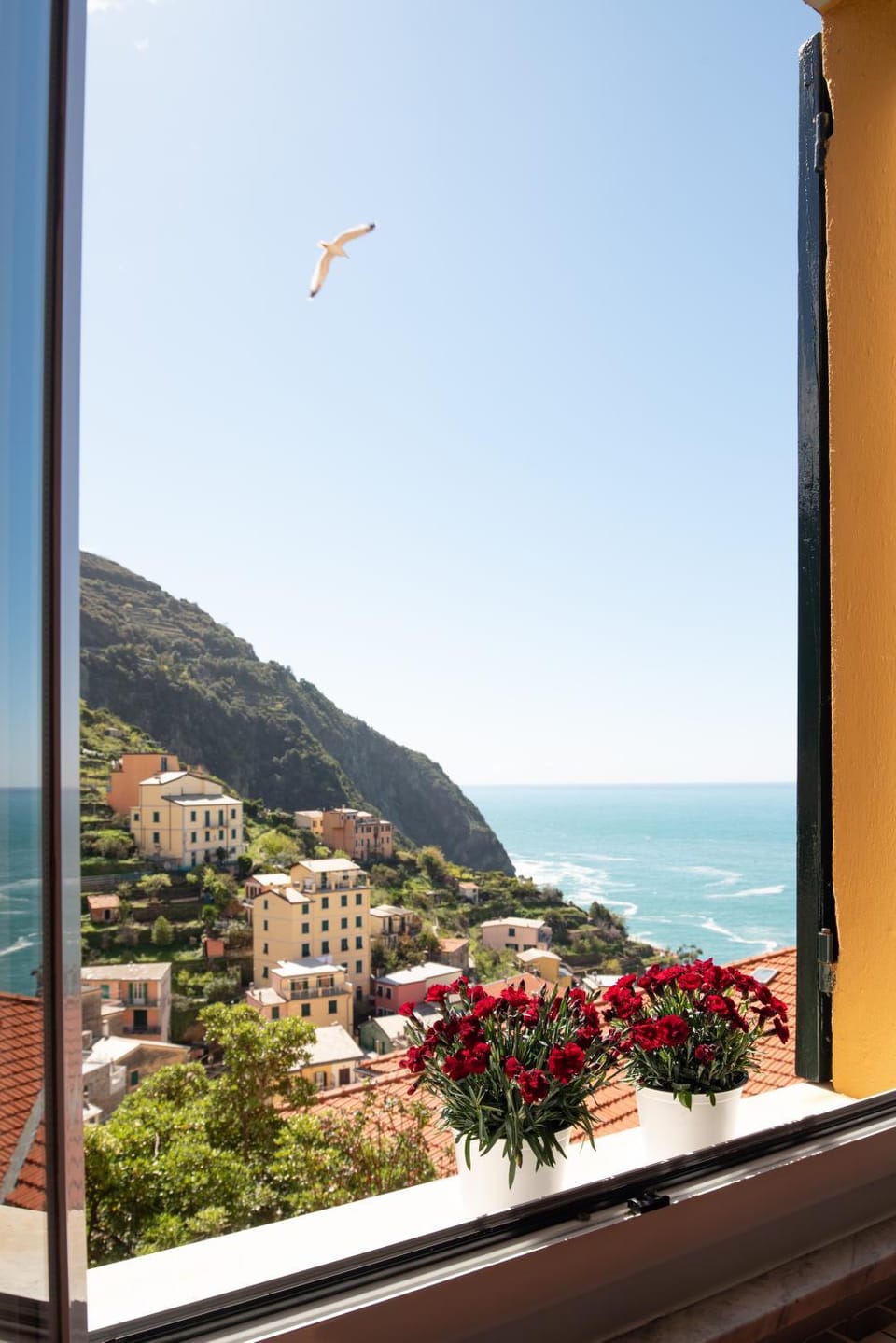 City view, Sea view