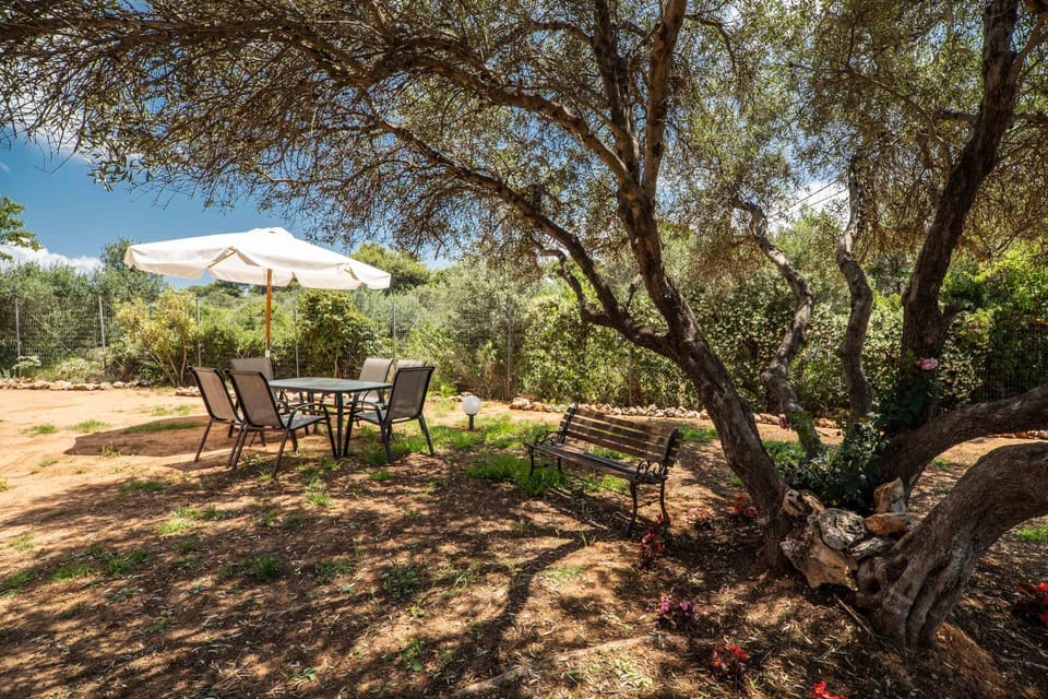 Patio, Spring, Day, Natural landscape, Garden, Dining area, Garden view