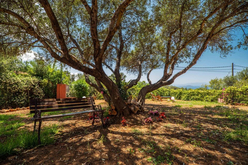 Spring, Day, Natural landscape, Garden, Garden view