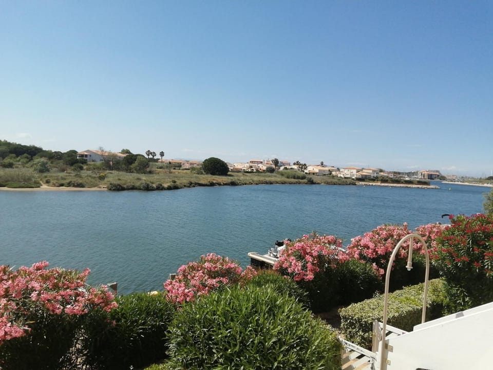 Lake view