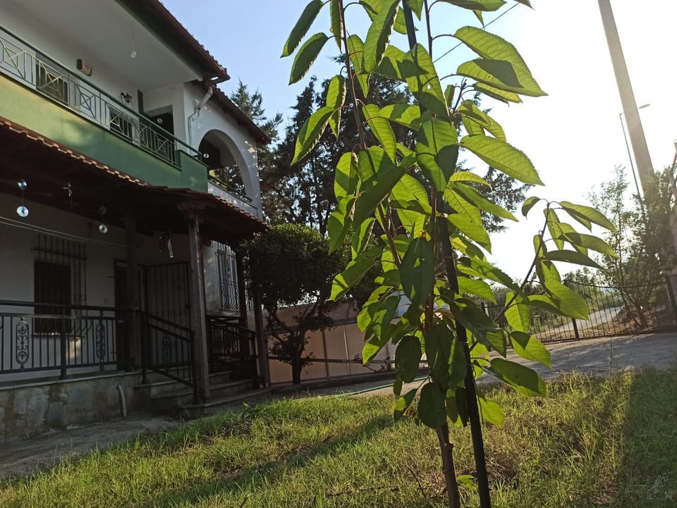 The Emerald Lopi, 2km from Ammolofoi beach! The best kept secret in nature, of Nea Peramos House in Decentralized Administration of Macedonia and Thrace